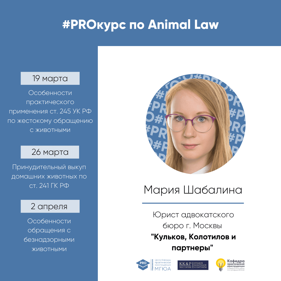 Мини-курс Марии Шабалиной по Animal Law с 19 марта по 2 апреля - Kulkov,  Kolotilov & Partners